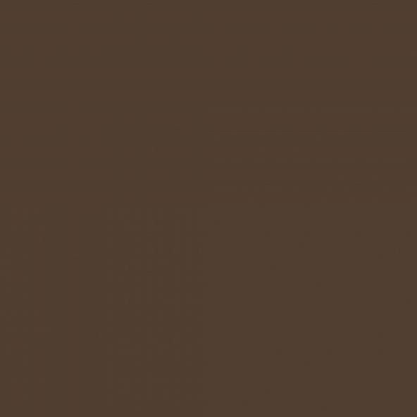 CRICUT 2004304 PREMIUM VİNİL GEÇİCİ 30.5X122CM KAHVE