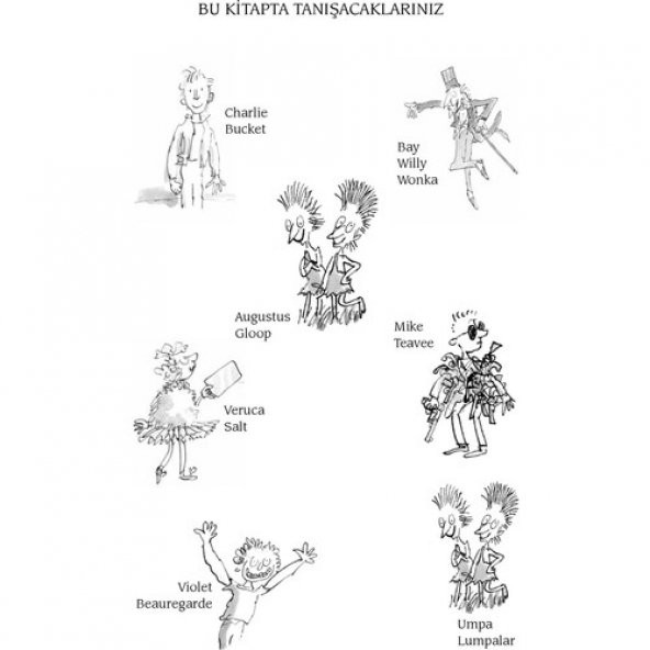 ÇARLİNİN ÇİKOLATA FABRİKASI - 2