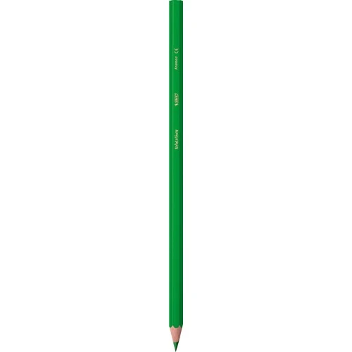 Bic Kids Evolution Kuru Boya Kalemi 36'lı Metal Tüp - 4