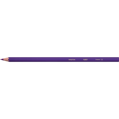 Bic Kids Evolution Kuru Boya Kalemi 36'lı Metal Tüp - 7