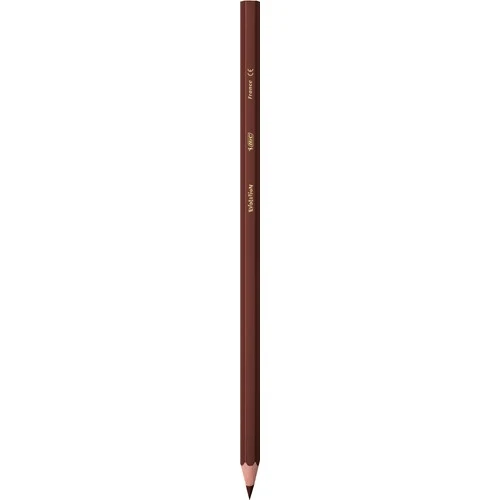 Bic Kids Evolution Kuru Boya Kalemi 36'lı Metal Tüp - 3