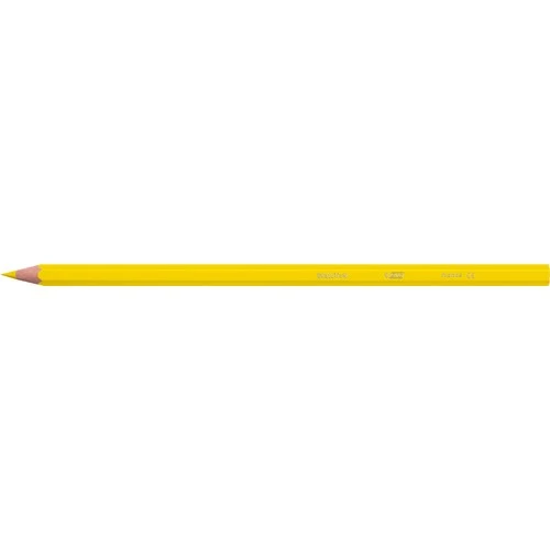 Bic Kids Evolution Kuru Boya Kalemi 36'lı Metal Tüp - 6
