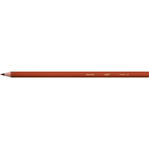 Bic Kids Evolution Kuru Boya Kalemi 36'lı Metal Tüp - 8