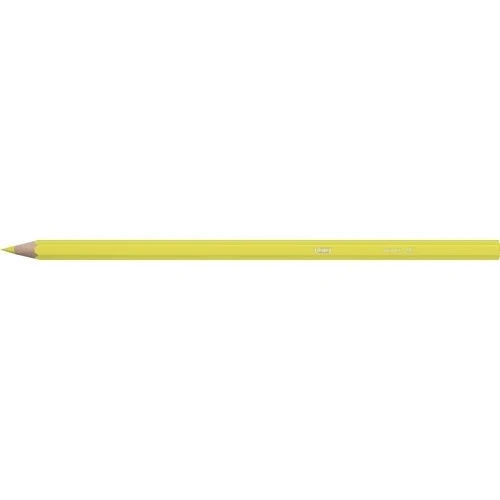 Bic Kids Tropicolors Kuru Boya Kalemi 24 Renk - 5