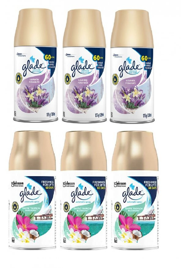 Glade Oda Kokusu Lavanta Ferahlığı X  Sprey 3 x 269Ml x Tropikal Floral X Sprey 3 X 269 Ml