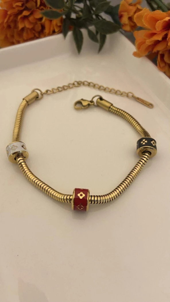 Aksesuar Çarşısı 316L Çelik Burgu Zincir Renkli Mineli Topcuk Bileklik - Resim 3