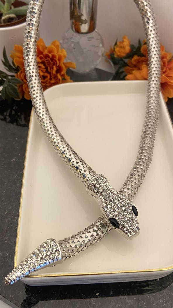 Aksesuar Çarşısı Kristal Taş Yılan Kolye Silver - 2