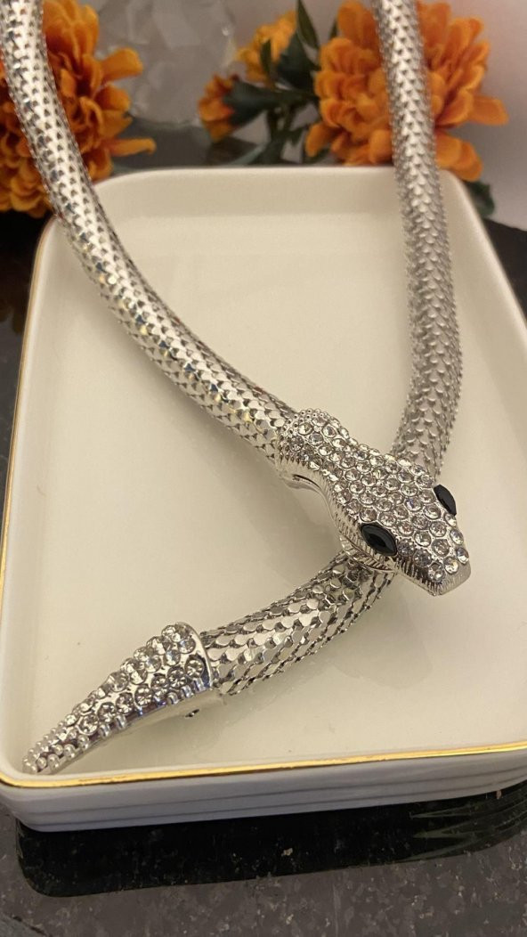 Aksesuar Çarşısı Kristal Taş Yılan Kolye Silver - 3