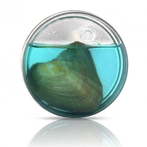 İSTİRİDYE İÇİNDE İNCİ KOLYE SET - 3