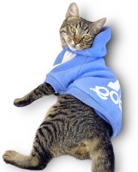 Bebek Mavisi Adidog Kapşonlu Kedi Sweatshirt Kedi Kazağı - 3