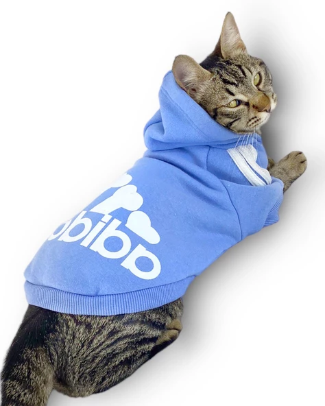 Bebek Mavisi Adidog Kapşonlu Kedi Sweatshirt Kedi Kazağı - 4