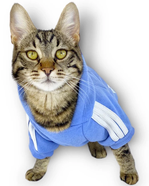 Bebek Mavisi Adidog Kapşonlu Kedi Sweatshirt Kedi Kazağı - 2