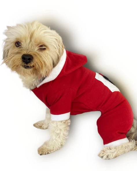 Kırmızı Sevimli Fare Kapşonlu Köpek Tulumu - 5