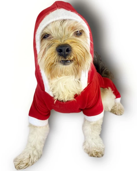 Kırmızı Sevimli Fare Kapşonlu Köpek Tulumu - 3