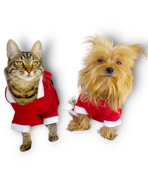 Kırmızı Sevimli Fare Kapşonlu Köpek Tulumu - 6