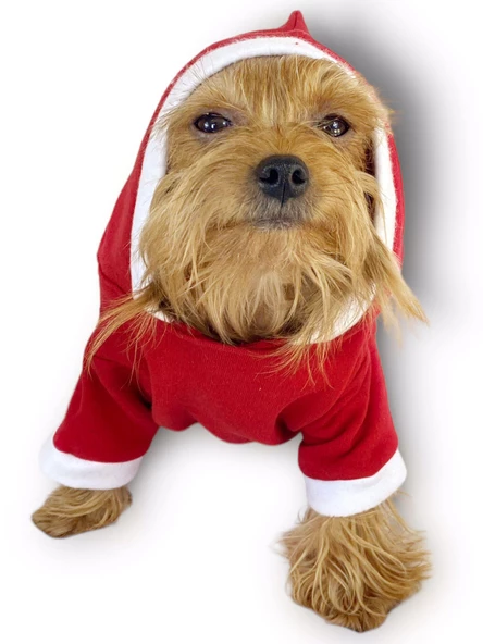 Kırmızı Sevimli Fare Kapşonlu Köpek Tulumu - 2