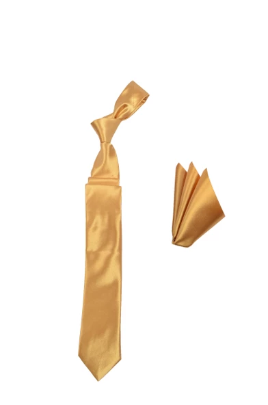 Cengiz İnler Düz Saten Mendilli Mikrofiber Erkek Kravat Aksesuar - 5