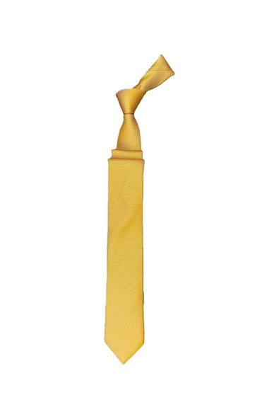 Cengiz İnler Armürlü Mikrofiber Erkek Kravat Aksesuar - 6