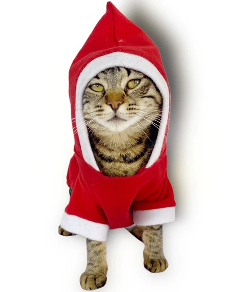 Kırmızı Sevimli Fare Kapşonlu Kedi Tulumu - Resim 3