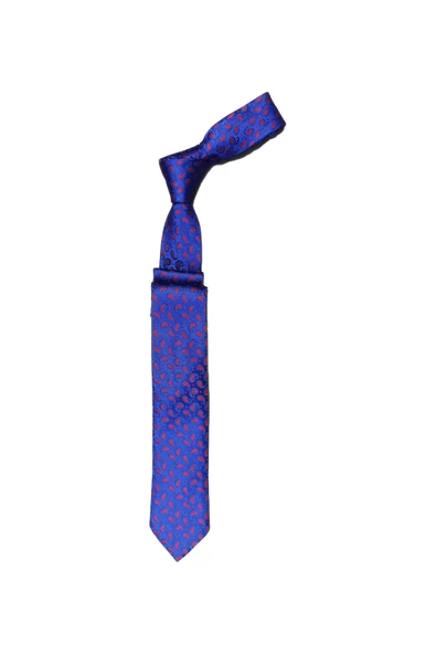 Cengiz İnler Minik Şal Desenli Mikrofiber Erkek Kravat Aksesuar - Resim 3