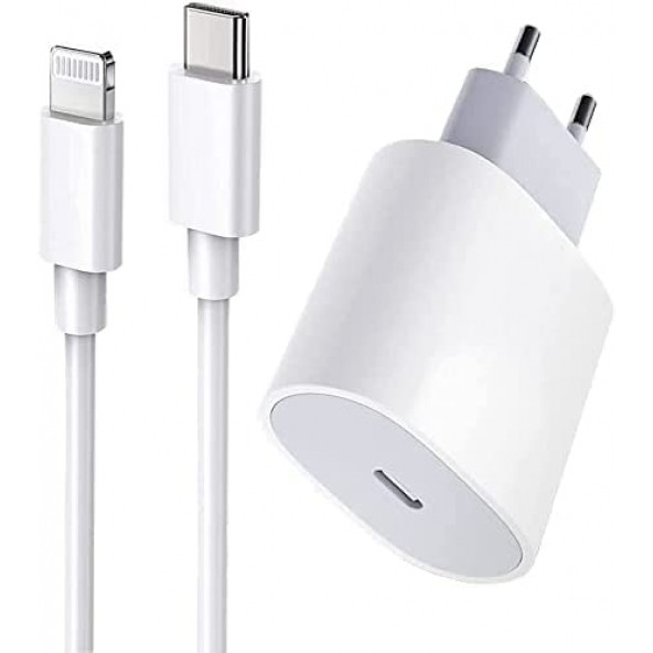 RECCI USB-C Power Adapter 15W USB-C to lightning Cable