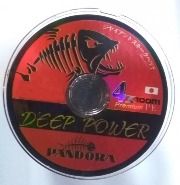 PANDORA DEEP POWER 4X 100m İP MİSİNA DİA.0.31mm Test: 25.0 KG - Resim 3