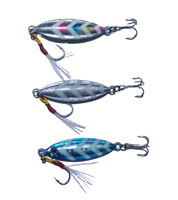 JIGCOIN WEITGHT 14 Gr Jig
