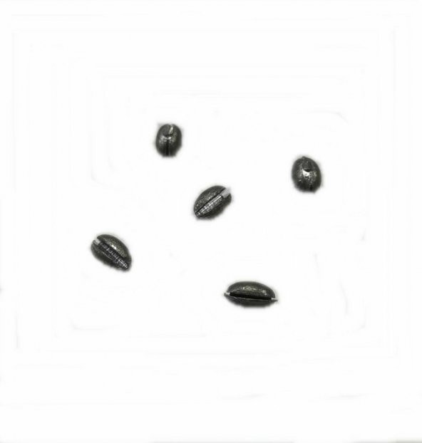 ZEYTİN KRŞN 0,5GR YARMA-1 PAKET İÇİNDE 25 ADET - 6