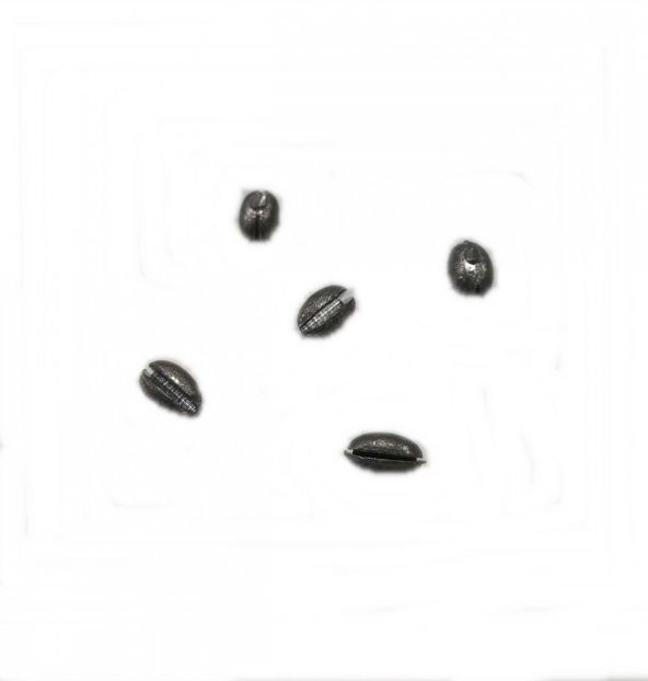 ZEYTİN KRŞN -1,0 GR YARMA  -1 PAKET İÇİNDE 20 ADET