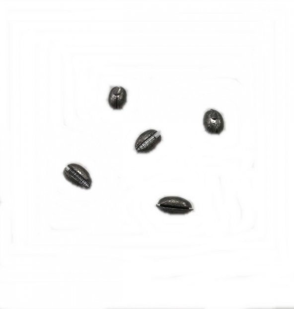 ZEYTİN KRŞN -1,0 GR YARMA  -1 PAKET İÇİNDE 20 ADET - 6