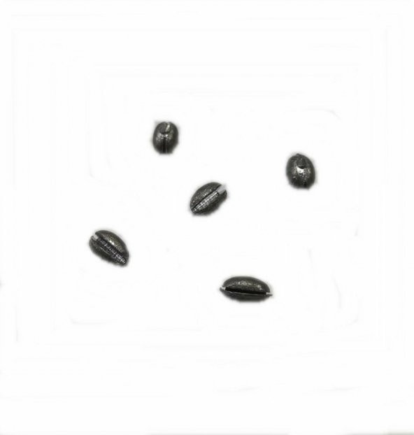 ZEYTİN KRŞN -1,0 GR YARMA  -1 PAKET İÇİNDE 20 ADET - 10