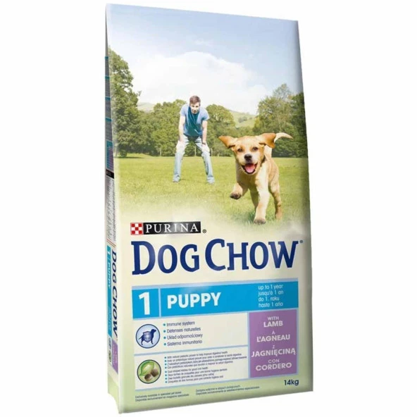 Purina Dog Chow Kuzu Etli Yavru Kuru Köpek Maması 14 Kg