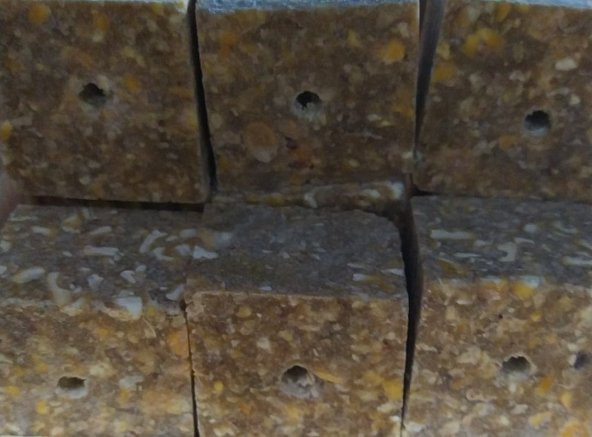 DİRİ KÖŞELİ KUSBE YAĞSIZ 5 ADET