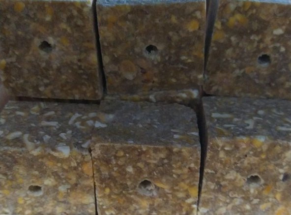 DİRİ KÖŞELİ KUSBE YAĞSIZ 5 ADET - Resim 3