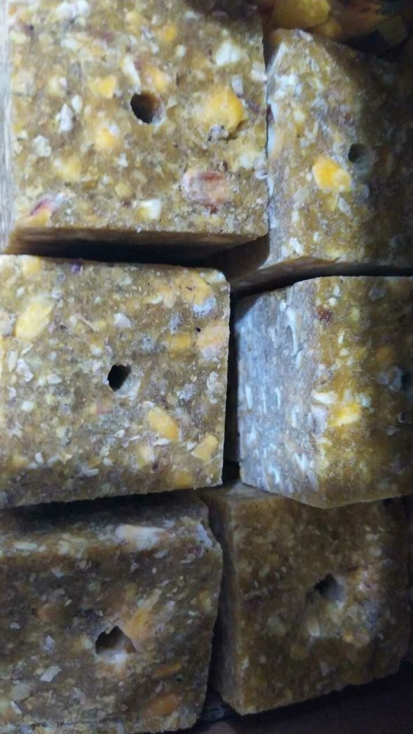 DİRİ KÖŞELİ KUSBE YAĞSIZ 5 ADET - Resim 10