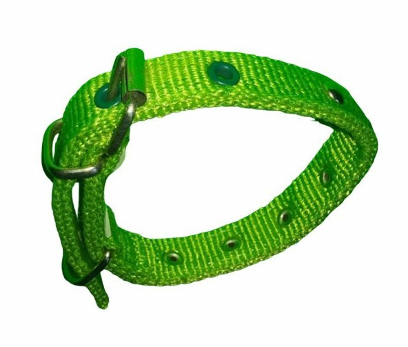 40 CM X2CM SÜSLU YAVRU TASMA YEŞİL - 6