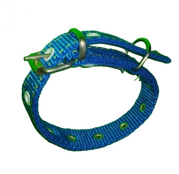 50 CM X2,50CM DÜZ ORTA  TASMA MAVİ - 5