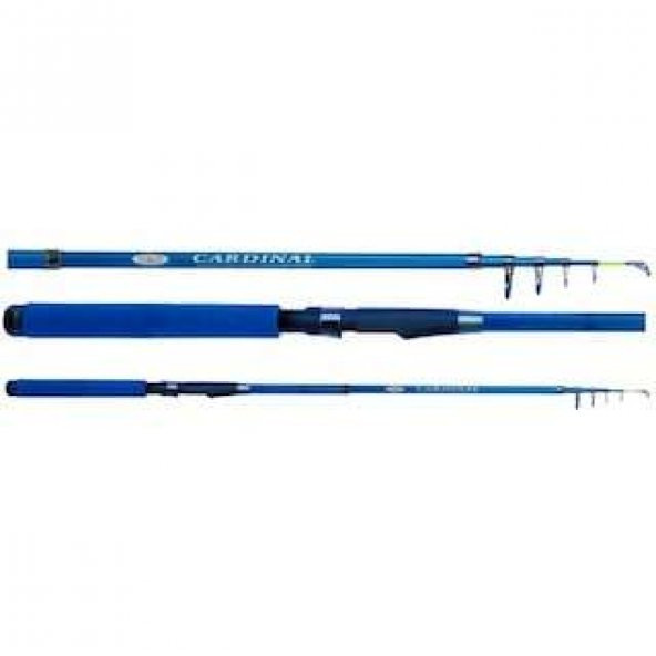 EFFE CARDINAL TELE SPİN KAMIŞ  3,00 MT MAVİ KAPALI BOY 64 CM 40-80 GR