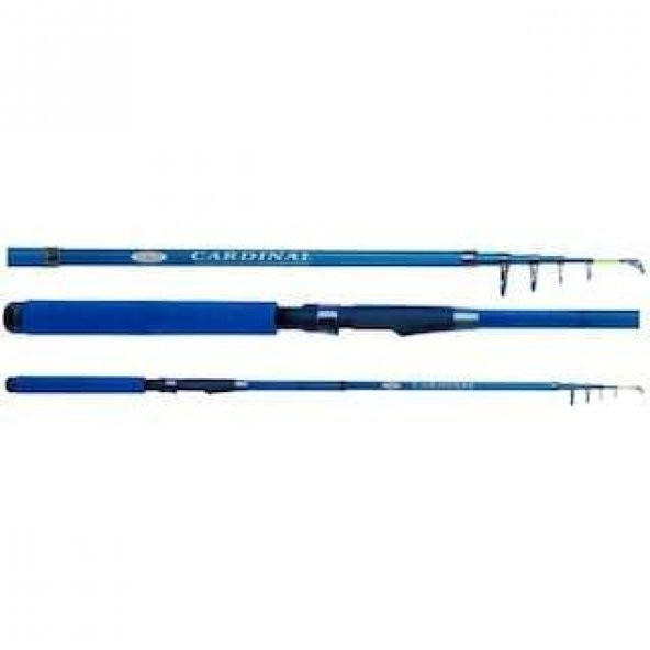 EFFE CARDINAL TELE SPİN KAMIŞ  3,00 MT MAVİ KAPALI BOY 64 CM 40-80 GR - Resim 5