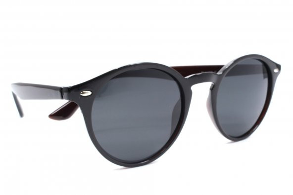 1068 C02 49 Polo Exchange Güneş Gözlüğü - Resim 2