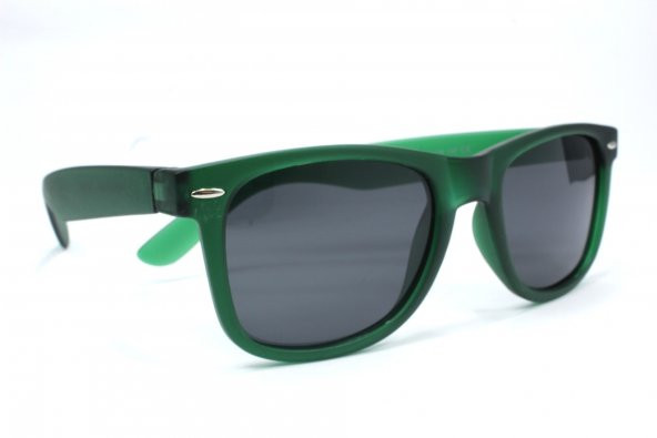 2040 C07 44 Polo Exchange Güneş Gözlüğü - Resim 4