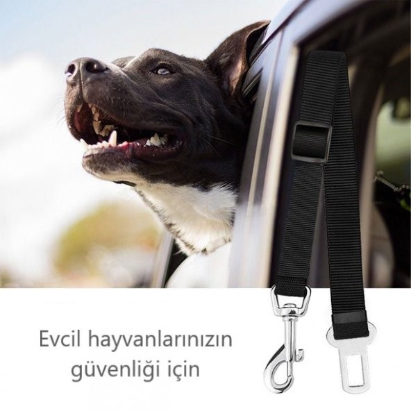 Kedi Köpek Araç Tasması Evcil Hayvan Araba Emniyet Kemeri Oto Aksesuarı Tokalı - 4