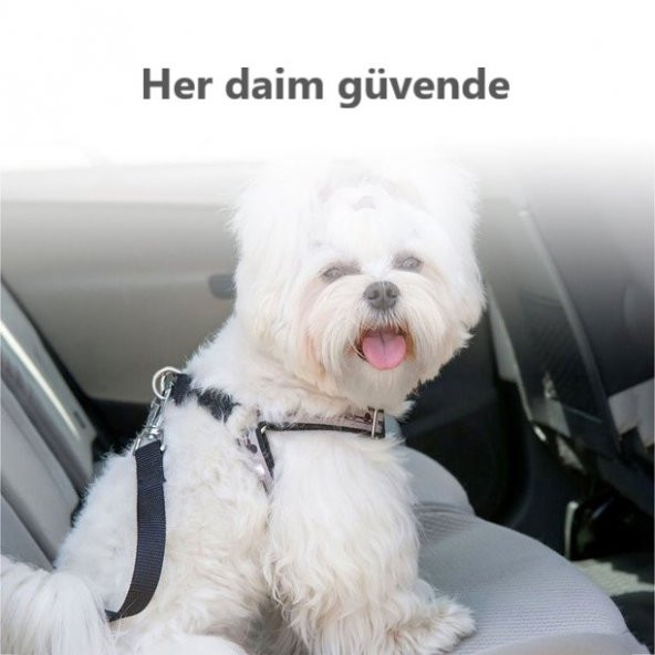 Kedi Köpek Araç Tasması Evcil Hayvan Araba Emniyet Kemeri Oto Aksesuarı Tokalı - 5