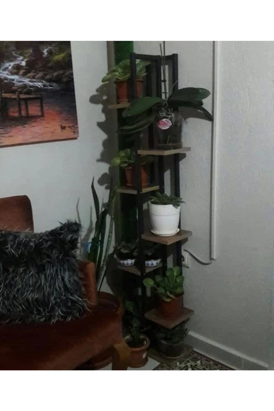 adımshops 7 Bölmeli Çiçeklik, Saksılık, Çiçeklik Standı - 2