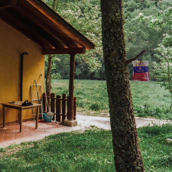 2 Adet Fly Jail - M Karasinek Tuzağı - 5