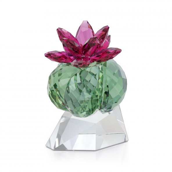 5426978 Swarovski Ev Dekorasyonu Crystal Flowers:Bordeaux Cactus