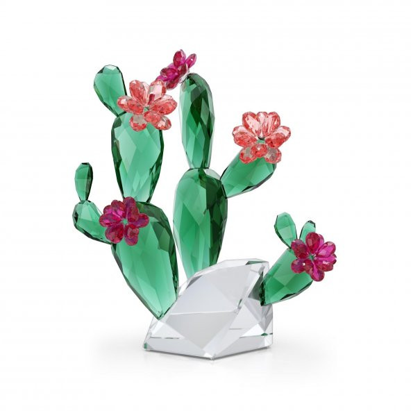 5426805 Swarovski Ev Dekorasyonu Crystal Flowers:Desert Pink Cactus