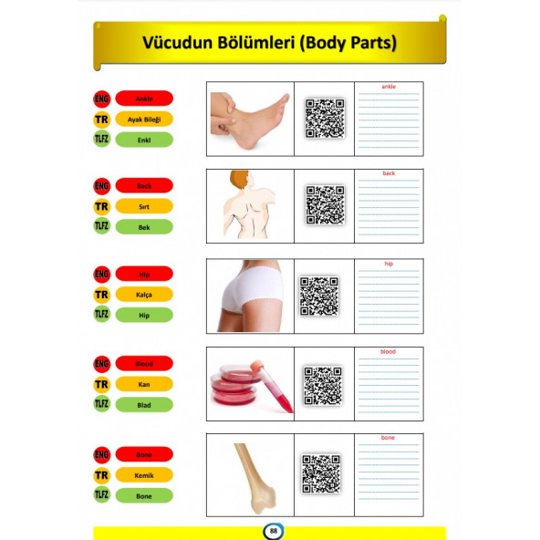 Herkes İçin İngilizcede EN ÇOK Kullanılan 500 Temel Kelime - 4