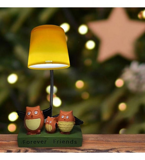 Fotoğraf Hediyeli Best Friends Baykuşlu Masa Lambası - 2