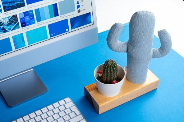 Kayigo Flowery  Saksılı Notluk - Mavi Kaktüs - Resim 2